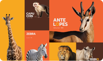 Animal Info