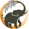 Elephant Kingdom Project